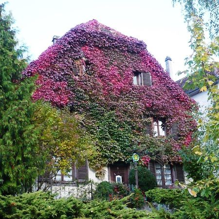 B&B De Charme La Maison Des 5 Temps Ferrette Exteriér fotografie