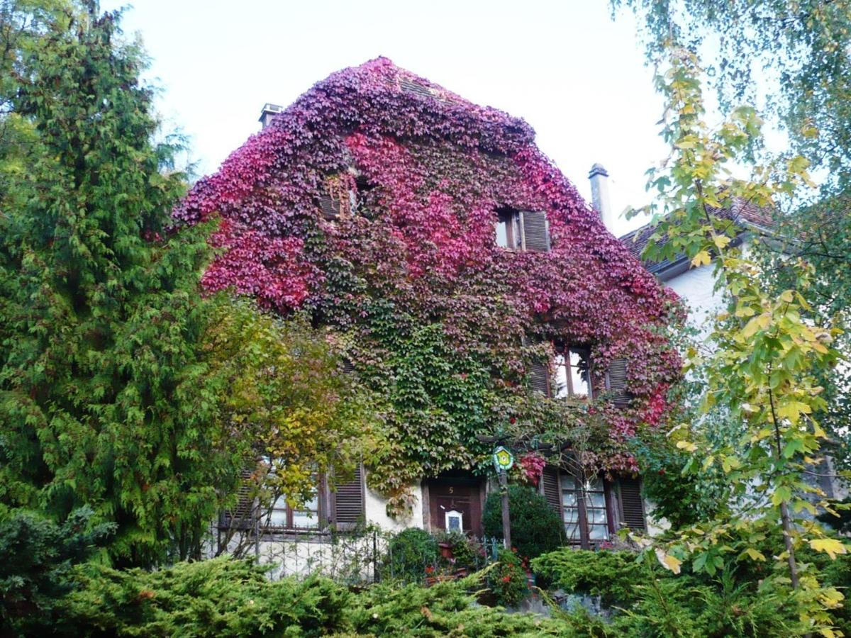 B&B De Charme La Maison Des 5 Temps Ferrette Exteriér fotografie