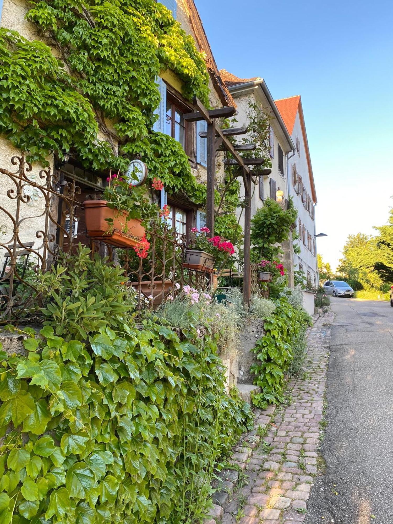 B&B De Charme La Maison Des 5 Temps Ferrette Pokoj fotografie