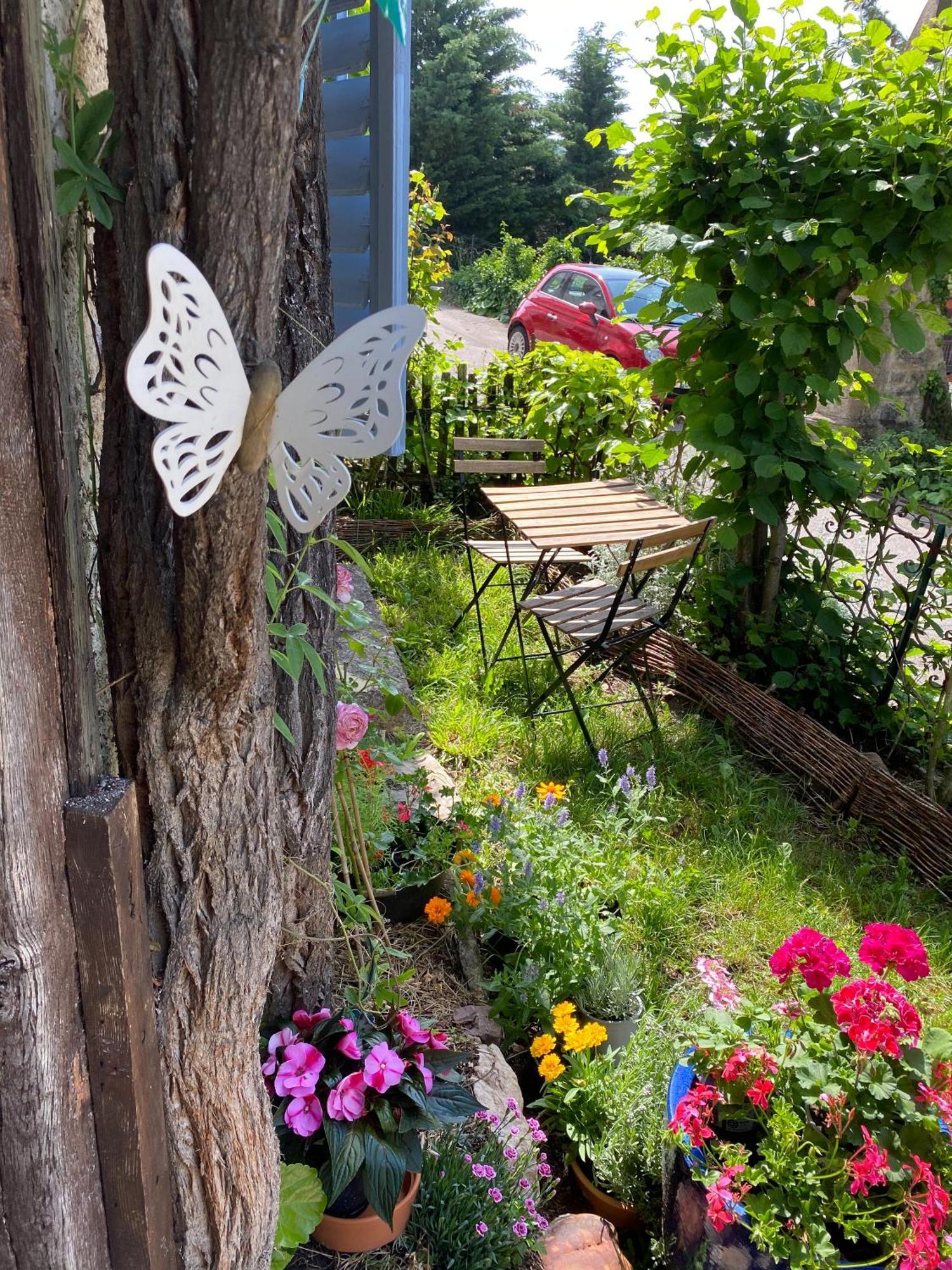 B&B De Charme La Maison Des 5 Temps Ferrette Pokoj fotografie