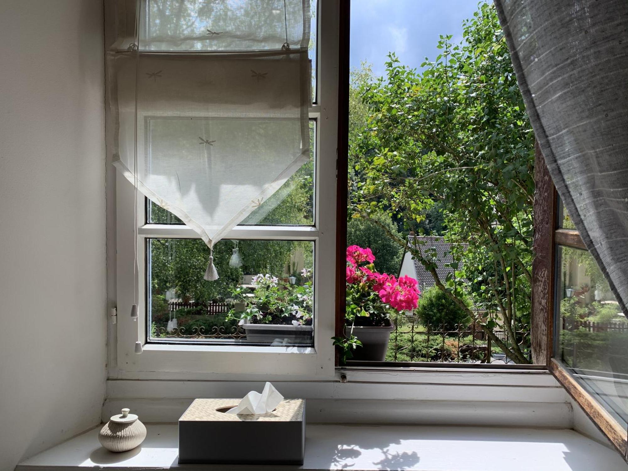 B&B De Charme La Maison Des 5 Temps Ferrette Pokoj fotografie
